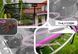 Батут THUNDER INSIDE ULTRA з внутрішньою сіткою 16 футів 490 см чорно-рожевий INSIDE-ULTRA-16FT-PINK фото 2