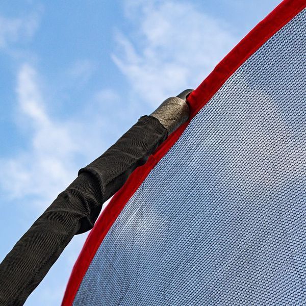 Батут Insportline Flea PRO 305 см з захисною сіткою та драбинкою 2843-10 фото