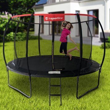 Батут Insportline Flea PRO 430 см з захисною сіткою та драбинкою 2845-10 фото
