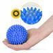 Масажні м'ячі з шипами 4FIZJO Spike Balls 4 шт (P-5907739310514) 144698-2692 фото 2