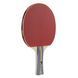 Набір для настільного тенісу Joola Team School 4 Bats 8 Balls (54825) 108705-1285036 фото 2