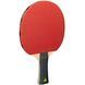 Набір для настільного тенісу Joola Quattro 4 Bats 10 Balls (54818) 108707-1285036 фото 2