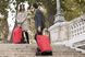 Сумка-візок Gimi Tris Red (168474) 104209-1285036 фото 6