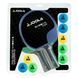 Набір для настільного тенісу Joola Colorato 2 Bats 8 Balls (54814) 143019-1285036 фото 2