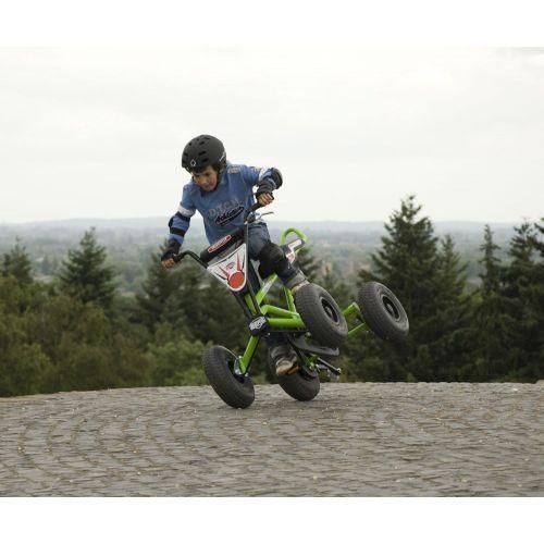 Веломобіль BERG Freestyler AF Prof 2596-3103 фото