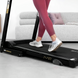 Бігова доріжка Hop-Sport HS-1000LB Wind сірий 5902308236844 фото 5