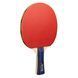 Набір для настільного тенісу Joola Family Advanced 4 Bats 6 Balls (54823) 108709-1285036 фото 3