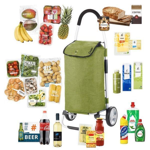 Cумка-візок ShoppingCruiser Foldable Green (650068) 930021 фото