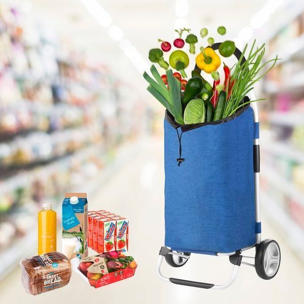Сумка-візок ShoppingCruiser Foldable Blue (650061) 108645-1285036 фото