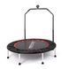 Батут Insportline PROFI Digital 140 см з ручкою 2767-10 фото 1
