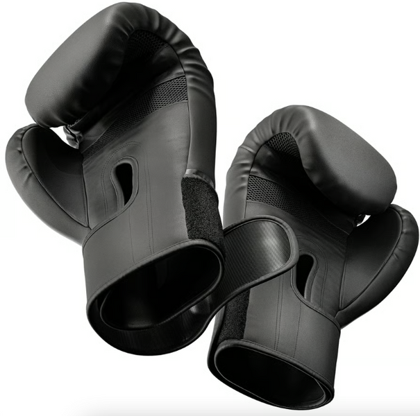 Боксерські рукавиці Hop-Sport HS-BG10 10oz чорні 5902308231627 фото