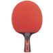 Набір для настільного тенісу Joola Duo Carbon 2 Bats 3 Balls (54822) 108719-1285036 фото 3