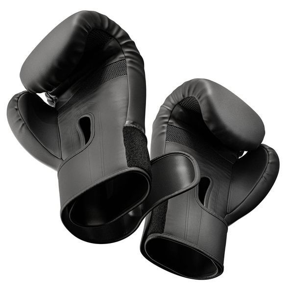 Боксерські рукавиці Hop-Sport HS-BG12 12oz чорні 5902308231634 фото