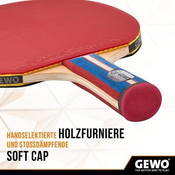 Ракетка для настільного тенісу Gewo Standard Pro FL (600300001) 148424-1285036 фото
