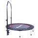 Батут для фітнесу з ручкою inSPORTline PROFI 122 cm 12743 фото 2