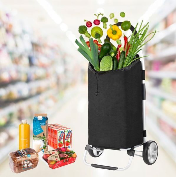 Сумка-візок ShoppingCruiser Foldable Black (604320) 108653-1285036 фото
