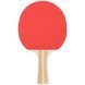 Набір для настільного тенісу Stiga Sonic Hobby 2 Bats 3 Balls (1220-2816-01) 145077-1285036 фото 3