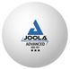 М'ячі для настільного тенісу Joola Advanced Training 40+ 24 шт (44207) 108805-1285036 фото 1