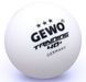 М'ячі для настільного тенісу Gewo Trainingsball 40+ 24 шт (85921200) 148435-1285036 фото 1