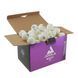 М'ячі для настільного тенісу Joola Magic ABS 40+ White 72 шт (44216) 108806-1285036 фото 3