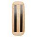 Балансувальна дошка (балансборд) 4FIZJO Balance Board (P-5907739313416) 154220-2692 фото 2