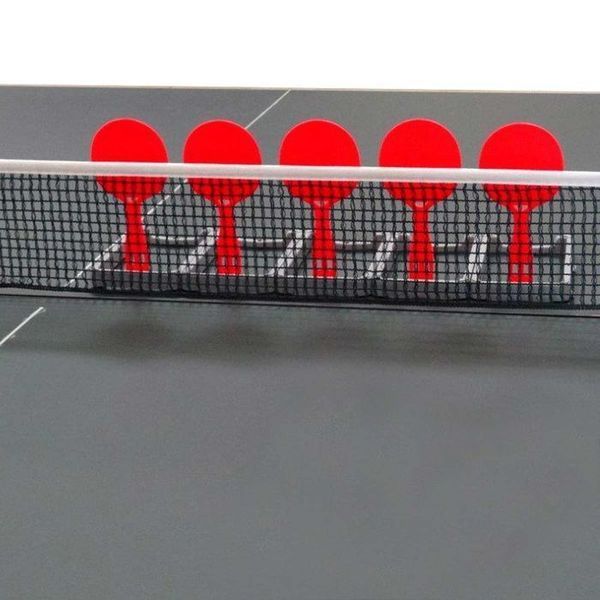 Тренувальний набір для настільного тенісу Gewo Flip-Paddle Set (109180000) 931316 фото
