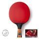 Ракетка для настільного тенісу Butterfly Timo Boll Comfort Junior FL (6110100009) 931846 фото 7
