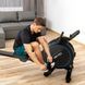 Гребний тренажер Gymtek XR800 синий &ndash; ефективне тренування всього тіла вдома 5905884427057 фото 4