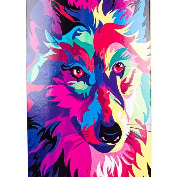 Скейтборд WORKER Psydog SKATEBOARD KLON 22002 фото