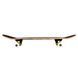 Скейтборд WORKER Psydog SKATEBOARD KLON 22002 фото 2