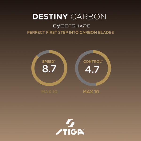 Основа для ракетки Stiga Destiny Carbon Cybershape Master атакувальна карбонова 932080 фото