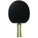 Набір для настільного тенісу Joola Team Master Pro 2 Bats 3 Balls (52001-1) 931833 фото 3