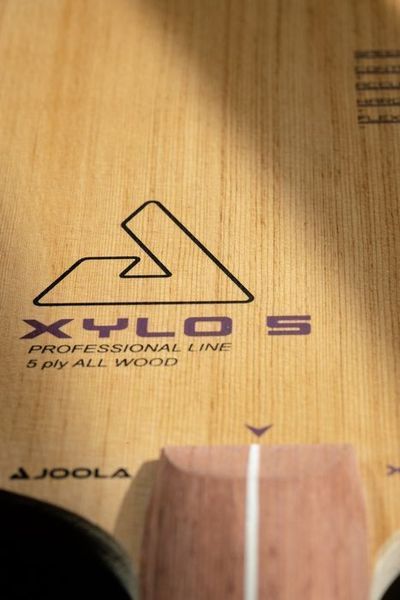 Основа для ракетки Joola XYLO 5 FL (65080) 145197-1285036 фото