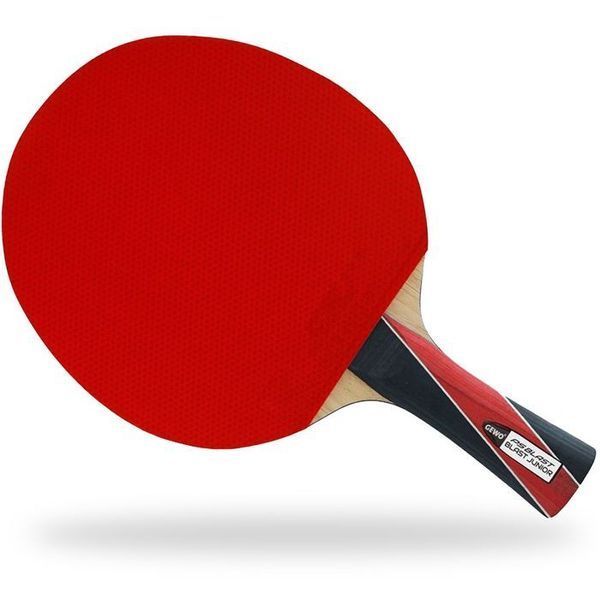 Ракетка для настільного тенісу Gewo PS Blast Junior FL (1074300001) 144618-1285036 фото